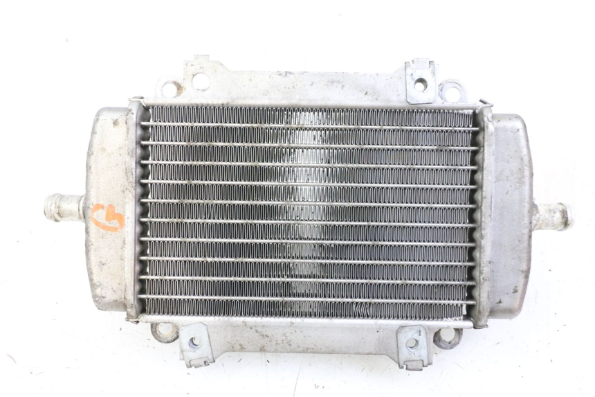 photo de RADIATEUR GAUCHE PIAGGIO VESPA GRANTURISMO 200 (2004 - 2005) - Vue principale