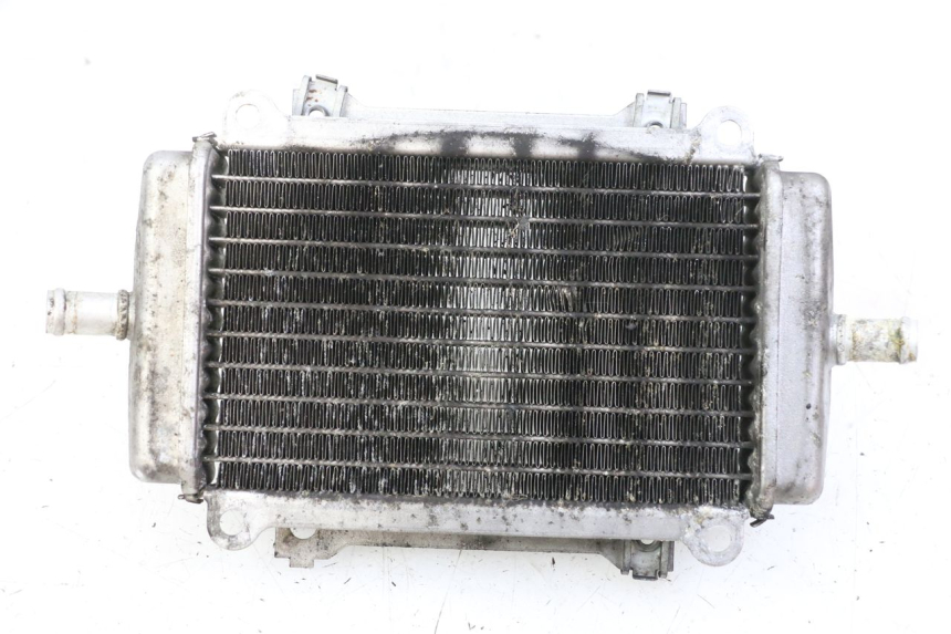 photo de RADIATEUR GAUCHE PIAGGIO VESPA GRANTURISMO 200 (2004 - 2005) - Détail de la pièce