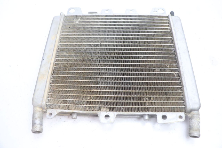 photo de RADIATEUR GAUCHE BOOM TRIKE FUN 500 (2004 - 2010) - Vue principale