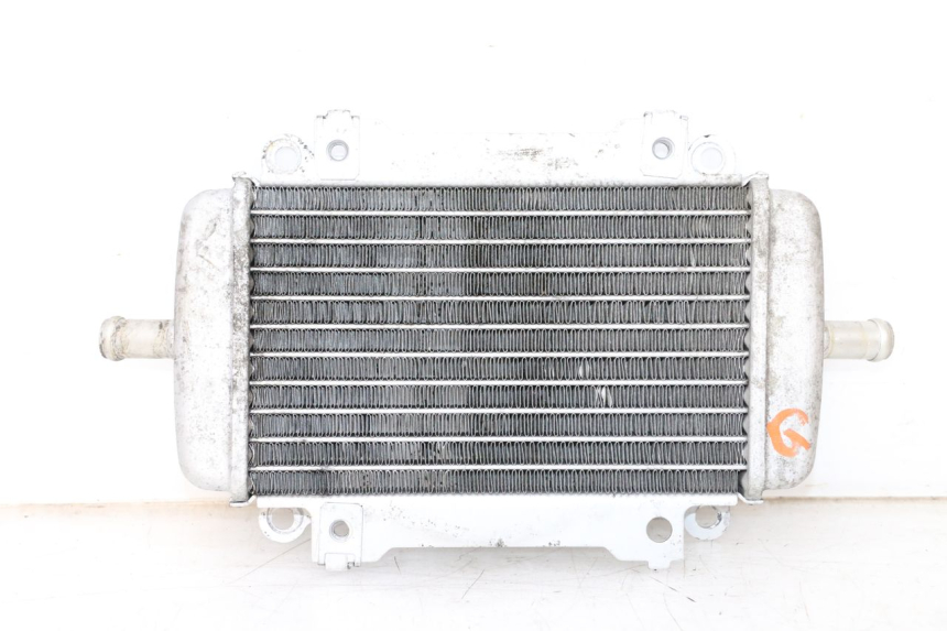 photo de RADIATEUR GAUCHE PIAGGIO VESPA GTS SUPER IE 125 (2009 - 2016) - Vue principale