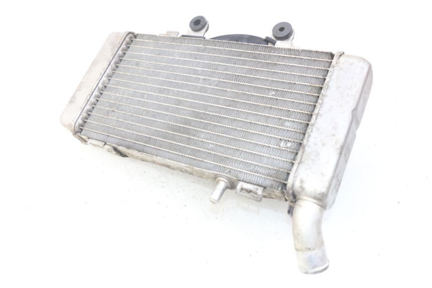 photo de RADIATEUR GAUCHE HONDA VFR FI RC46 800 (1998 - 2001) - Zoom état d’usage