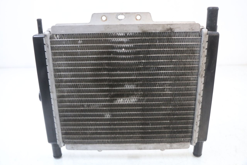 photo de RADIATEUR PEUGEOT GEOPOLIS RS 125 (2007 - 2009) - Vue principale