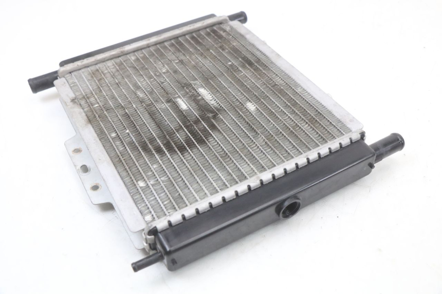 photo de RADIATEUR PEUGEOT GEOPOLIS RS 125 (2007 - 2009) - Zoom état d’usage