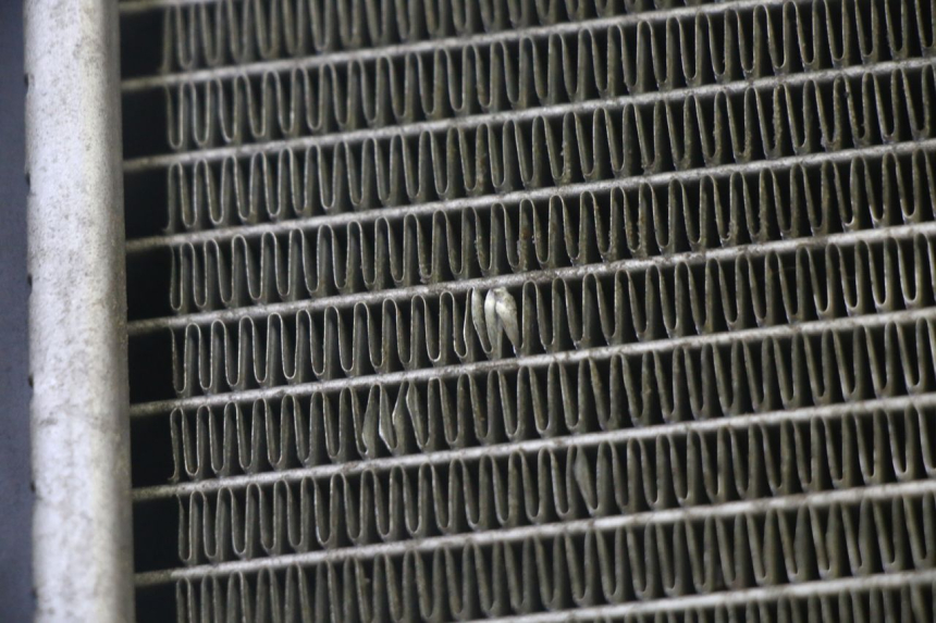 photo de RADIATEUR KYMCO GRAND DINK 125 (2002 - 2007) - Autre angle de vue