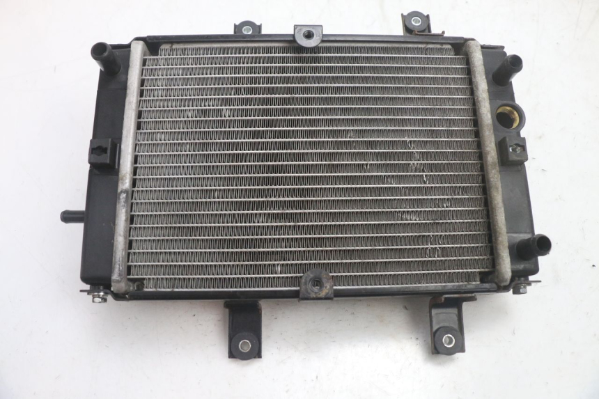 photo de RADIATEUR SYM GTS EVO 125 (2009 - 2013) - Vue principale
