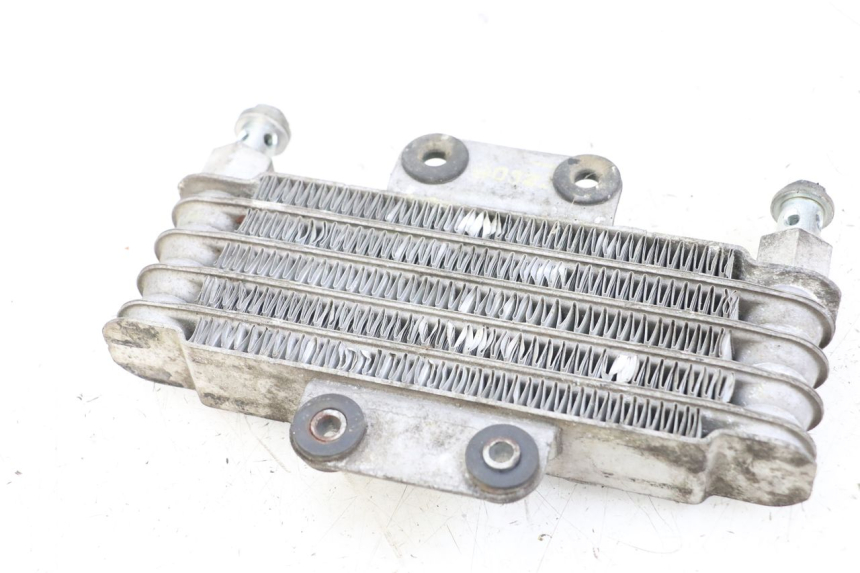 photo de RADIATEUR HUILE HYOSUNG GV AQUILA 125 (2000 - 2009) - Zoom état d’usage