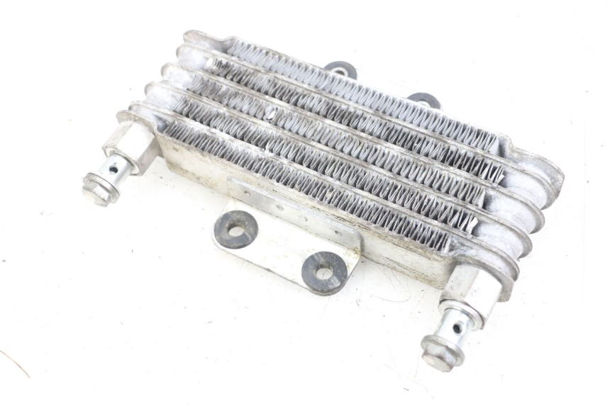 photo de RADIATEUR HUILE HYOSUNG GV AQUILA 125 (2000 - 2009) - Vue d’ensemble