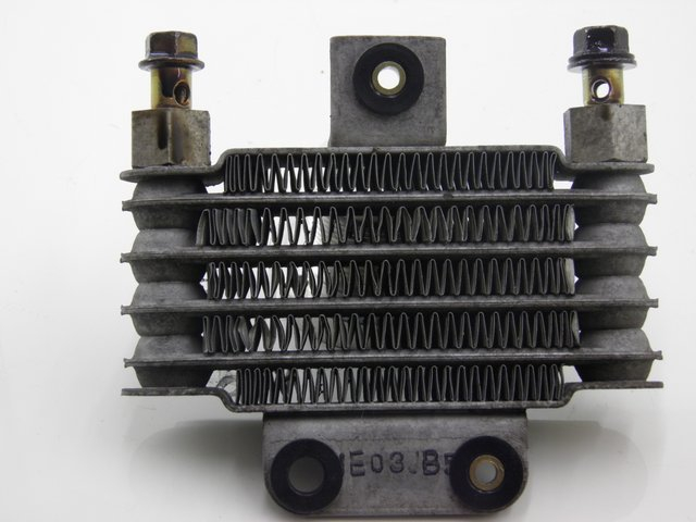 photo de RADIATEUR HUILE DAELIM S2 125 (2008) - Vue principale