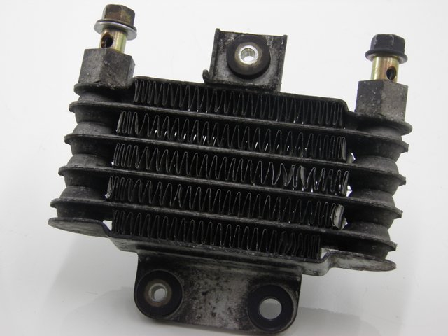 photo de RADIATEUR HUILE DAELIM S2 125 (2008) - Détail de la pièce