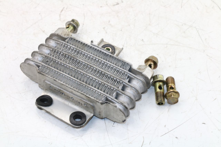 photo de RADIATEUR HUILE DAELIM VJ ROADWIN 125 (2004 - 2007) - Vue principale