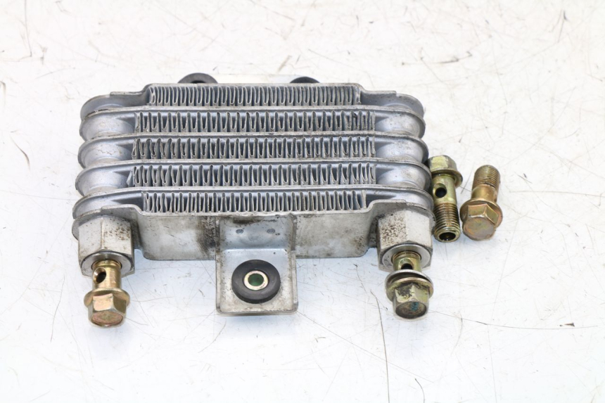 photo de RADIATEUR HUILE DAELIM VJ ROADWIN 125 (2004 - 2007) - Zoom état d’usage