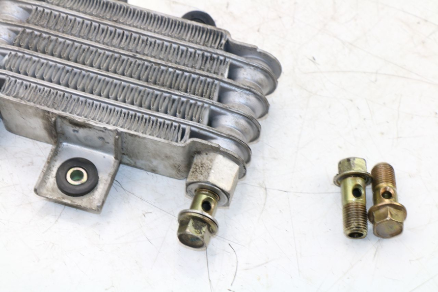 photo de RADIATEUR HUILE DAELIM VJ ROADWIN 125 (2004 - 2007) - Vue d’ensemble