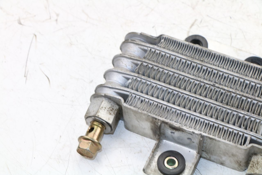 photo de RADIATEUR HUILE DAELIM VJ ROADWIN 125 (2004 - 2007) - Points de fixation