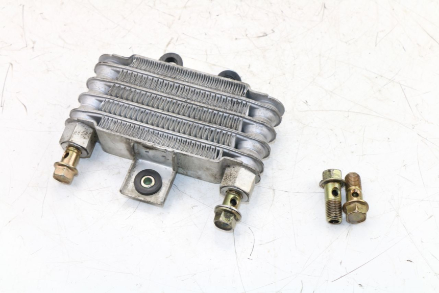 photo de RADIATEUR HUILE DAELIM VJ ROADWIN 125 (2004 - 2007) - État de surface