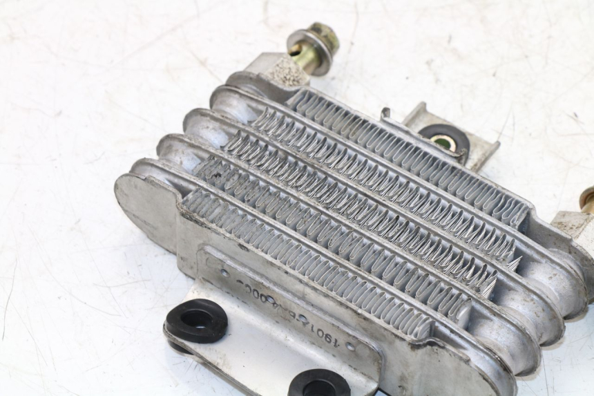 photo de RADIATEUR HUILE DAELIM VJ ROADWIN 125 (2004 - 2007) - Pièce contrôlée