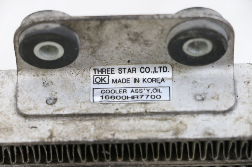 photo de RADIATEUR HUILE HYOSUNG GTR 125 (2006 - 2008) - Zoom état d’usage