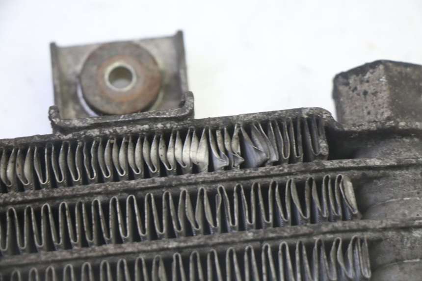 photo de RADIATEUR HUILE DAELIM HISTORY 125 (2001 - 2002) - Détail de la pièce