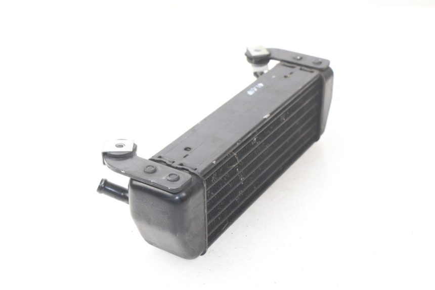 photo de RADIATEUR HUILE BMW R GS 1150 (1999 - 2004) - Zoom état d’usage