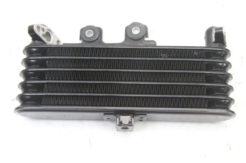 photo de RADIATEUR HUILE ROYAL ENFIELD HYMALAYAN 410 (2016 - 2023) - Zoom état d’usage