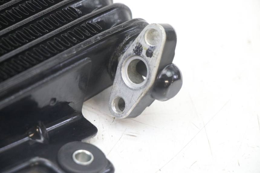 photo de RADIATEUR HUILE ROYAL ENFIELD HYMALAYAN 410 (2016 - 2023) - Vue d’ensemble