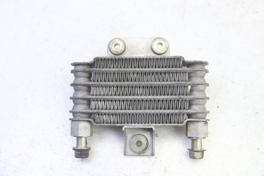 photo de RADIATEUR HUILE DAELIM S1 125 (2007 - 2016) - Vue principale