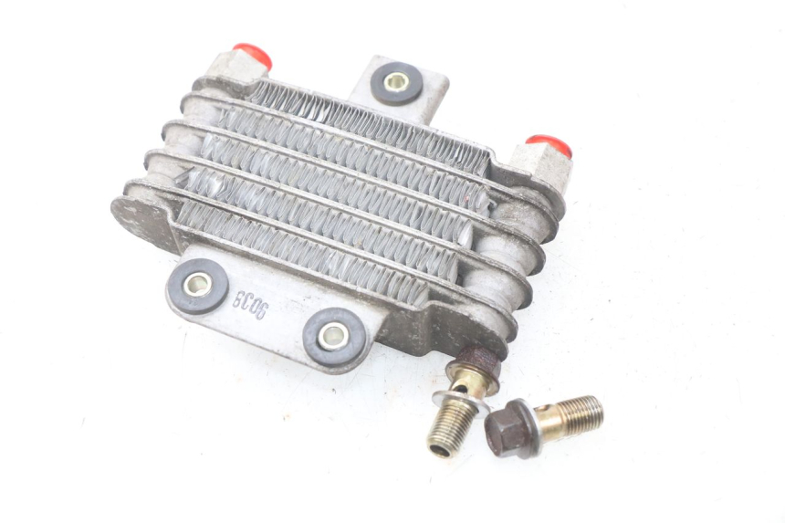 photo de RADIATEUR HUILE DAELIM S2 FI 125 (2008 - 2017) - Zoom état d’usage