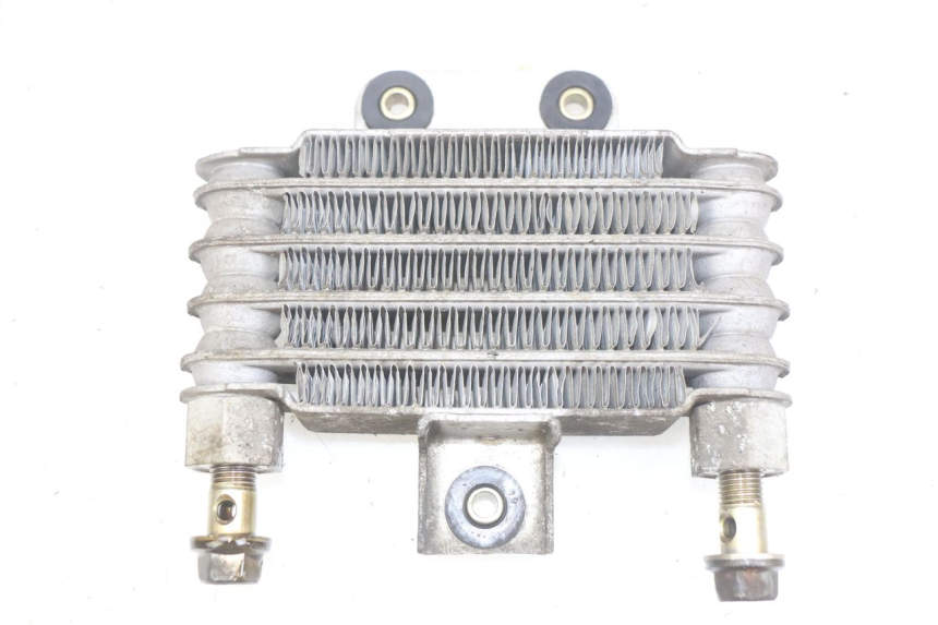 photo de RADIATEUR HUILE DAELIM VJ ROADWIN FI 125 (2008 - 2017) - Vue principale