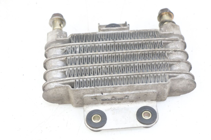 photo de RADIATEUR HUILE DAELIM VJ ROADWIN FI 125 (2008 - 2017) - Zoom état d’usage