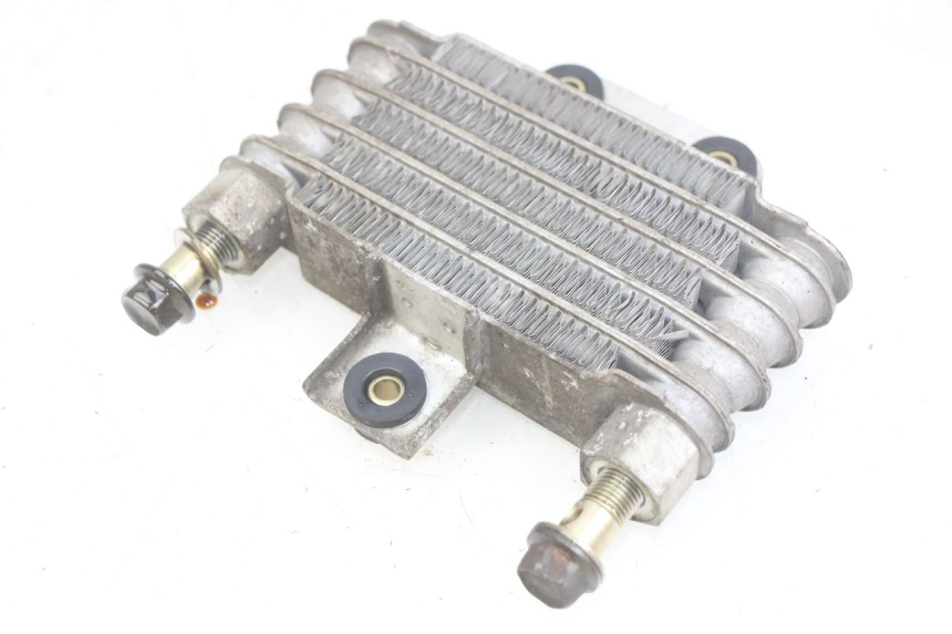 photo de RADIATEUR HUILE DAELIM VJ ROADWIN FI 125 (2008 - 2017) - Autre angle de vue