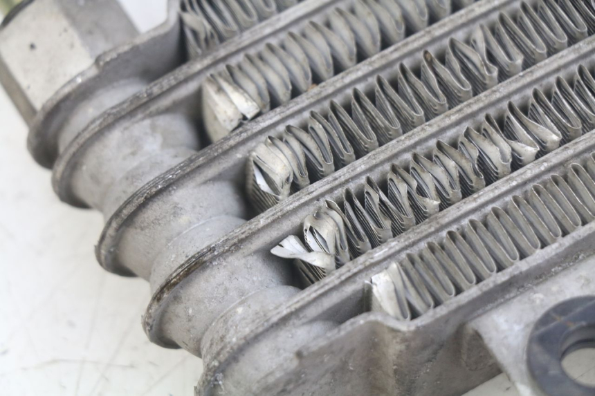 photo de RADIATEUR HUILE DAELIM VL DAYSTAR 125 (2000 - 2011) - Gros plan technique