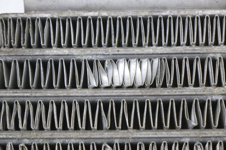 photo de RADIATEUR HUILE DAELIM VL DAYSTAR 125 (2000 - 2011) - Gros plan technique