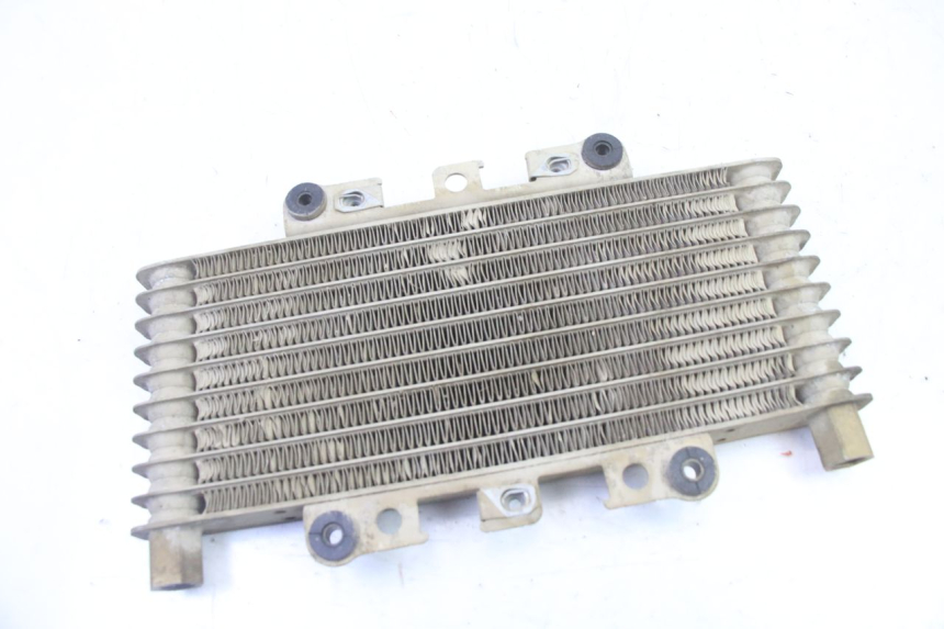 photo de RADIATEUR HUILE YAMAHA YFM BRUIN 350 (2003 - 2009) - Vue d’ensemble