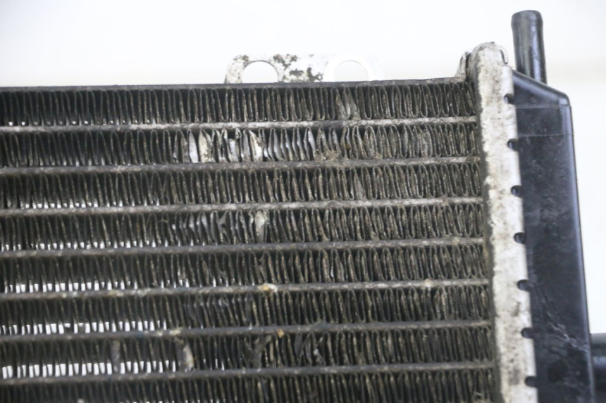 photo de RADIATEUR PEUGEOT JET FORCE CARBU 50 (2003 - 2016) - Vue produit