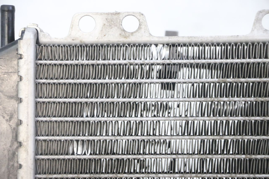 photo de RADIATEUR PEUGEOT JET FORCE CARBU 50 (2003 - 2016) - Photo complémentaire