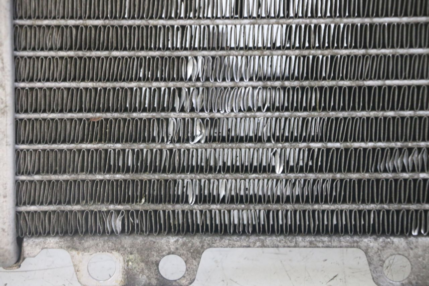 photo de RADIATEUR PEUGEOT JET FORCE CARBU 50 (2003 - 2016) - Inspection visuelle