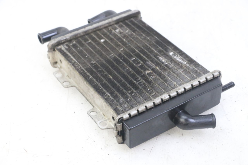 photo de RADIATEUR PEUGEOT JET FORCE CARBU 50 (2003 - 2016) - Gros plan technique