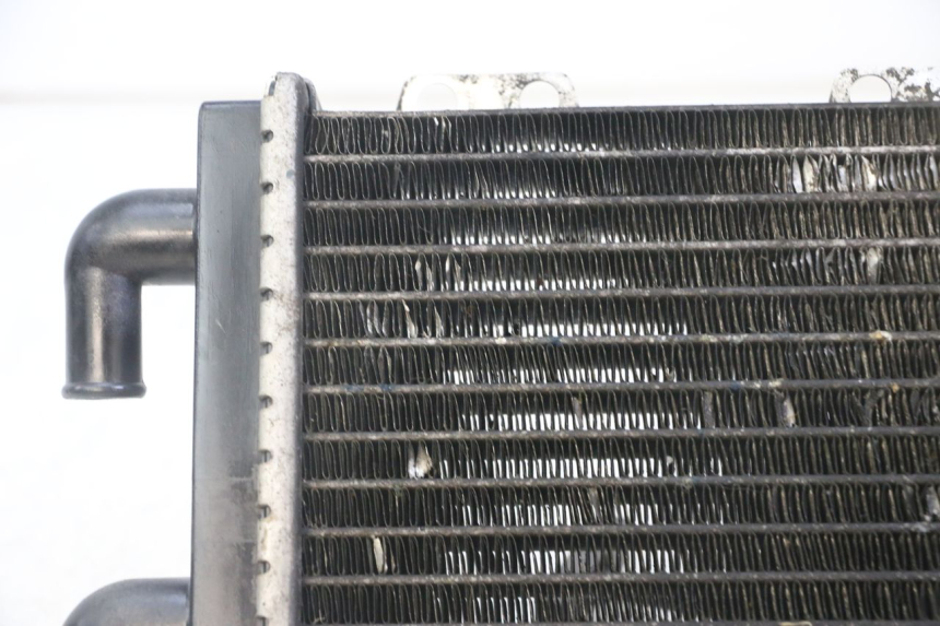 photo de RADIATEUR PEUGEOT JET FORCE CARBU 50 (2003 - 2016) - État de surface