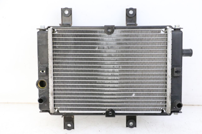 photo de RADIATEUR SYM JOYMAX 125 (2010 - 2017) - Vue principale