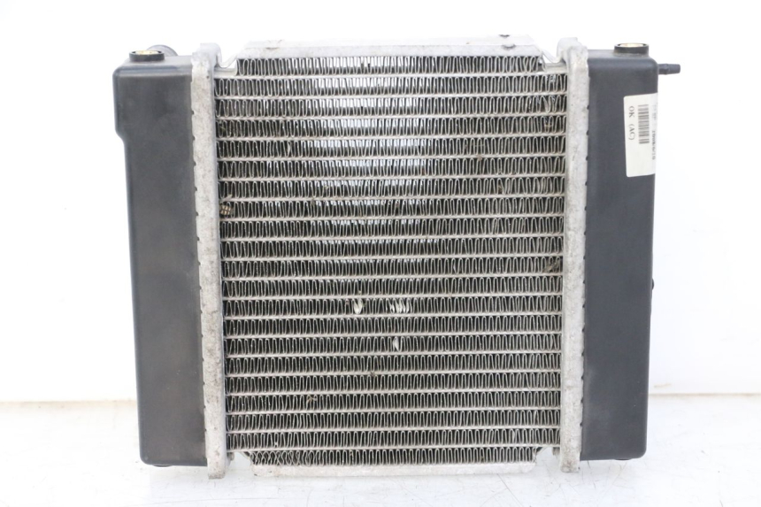 photo de RADIATEUR KYMCO GRAND DINK 125 (2008 - 2014) - Vue principale