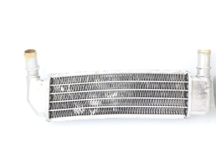 photo de RADIATEUR PEUGEOT LUDIX BLASTER 50 (2006 - 2014) - Vue produit