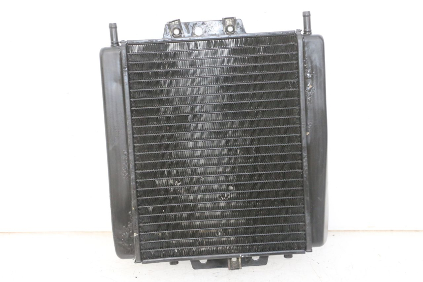 photo de RADIATEUR PIAGGIO MP3 LT 300 (2010 - 2016) - Vue principale