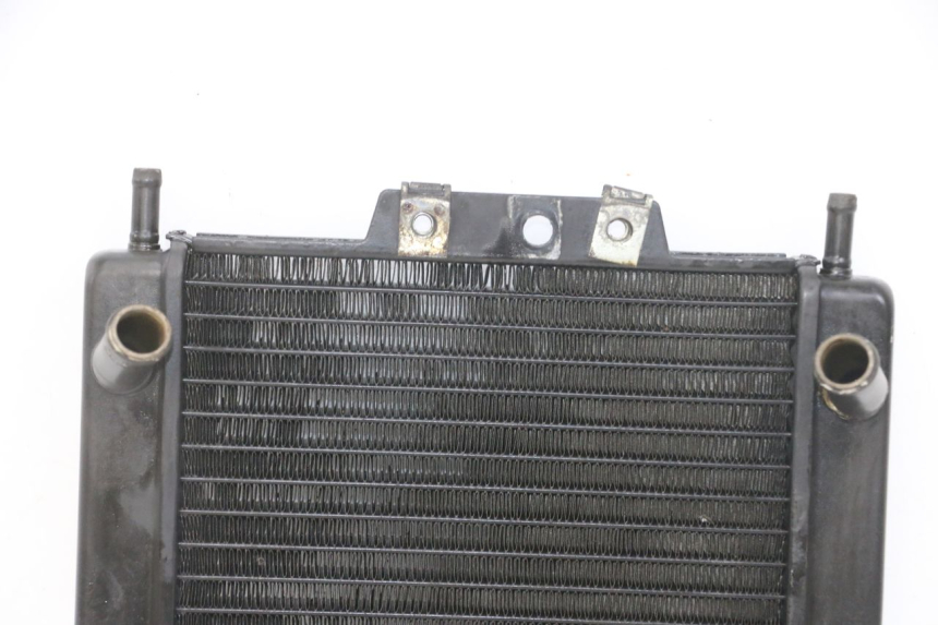 photo de RADIATEUR PIAGGIO MP3 LT 300 (2010 - 2016) - État de surface