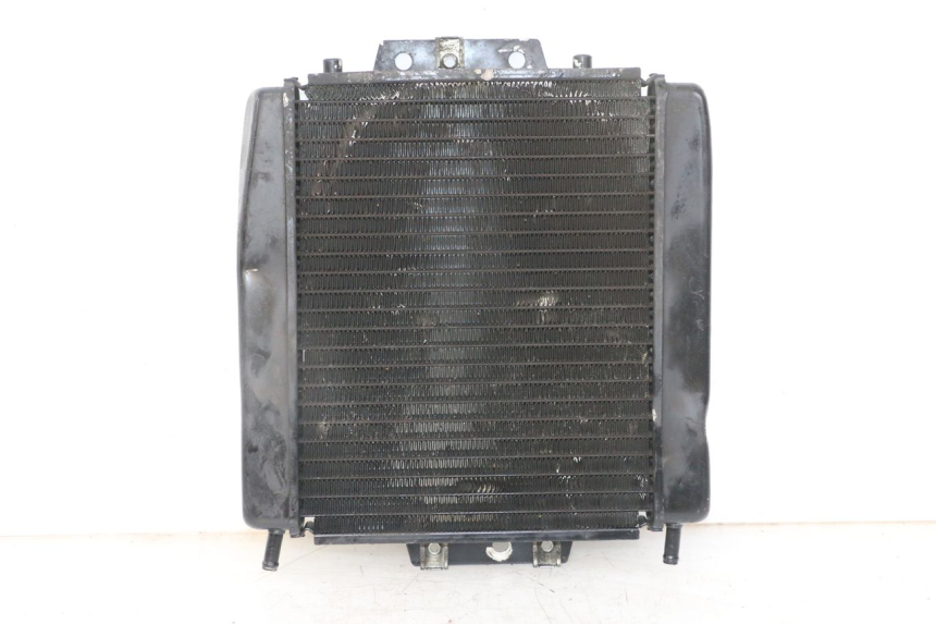 photo de RADIATEUR PIAGGIO MP3 LT 400 (2007 - 2012) - Vue principale