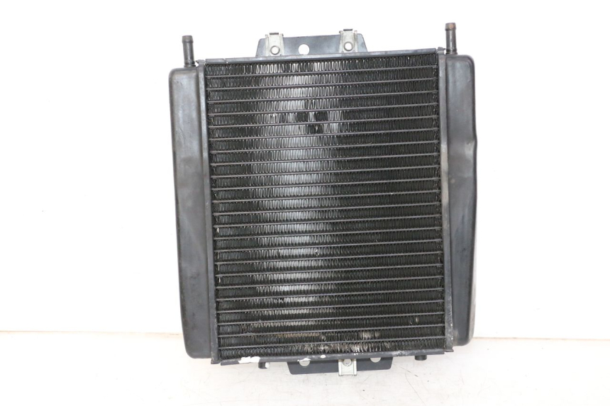 photo de RADIATEUR PIAGGIO MP3 LT 300 (2010 - 2016) - Vue principale