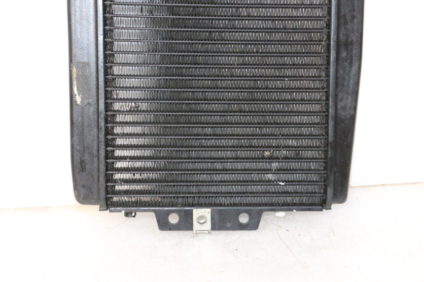 photo de RADIATEUR PIAGGIO MP3 LT 300 (2010 - 2016) - Vue produit