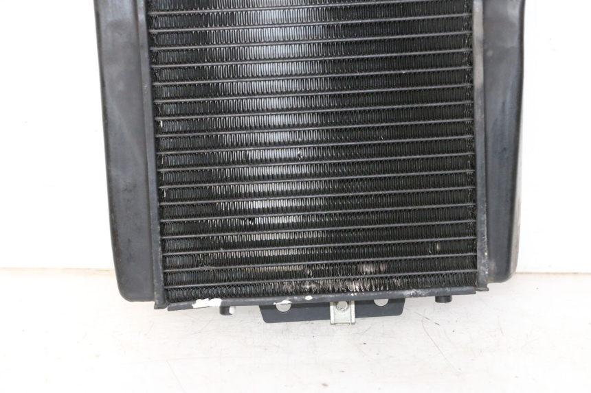 photo de RADIATEUR PIAGGIO MP3 LT 300 (2010 - 2016) - Vue rapprochée