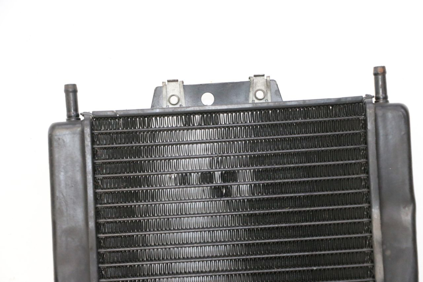 photo de RADIATEUR PIAGGIO MP3 LT 300 (2010 - 2016) - Photo complémentaire