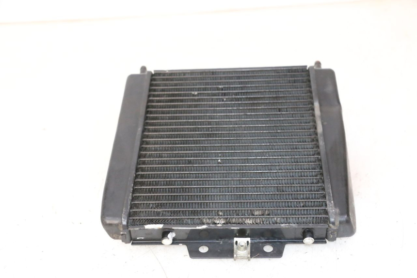 photo de RADIATEUR PIAGGIO MP3 LT 300 (2010 - 2016) - État de surface