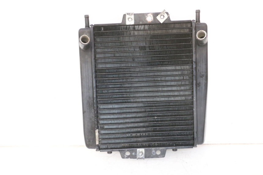 photo de RADIATEUR PIAGGIO MP3 RL 250 (2006 - 2010) - Vue principale