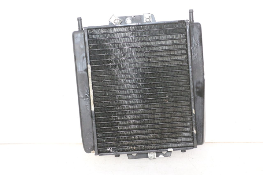 photo de RADIATEUR PIAGGIO MP3 RL 250 (2006 - 2010) - Détail de la pièce